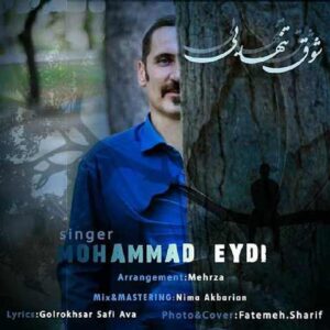 دانلود آهنگ محمد عیدی به نام شوق تنهایی
