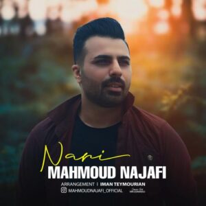 دانلود آهنگ محمود نجفی به نام نری