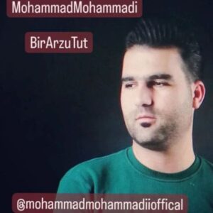 دانلود آهنگ محمد محمدی به نام بیر آرزو توت
