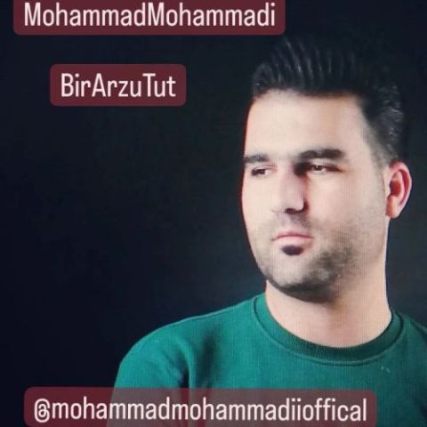 محمد محمدی بیر آرزو توت