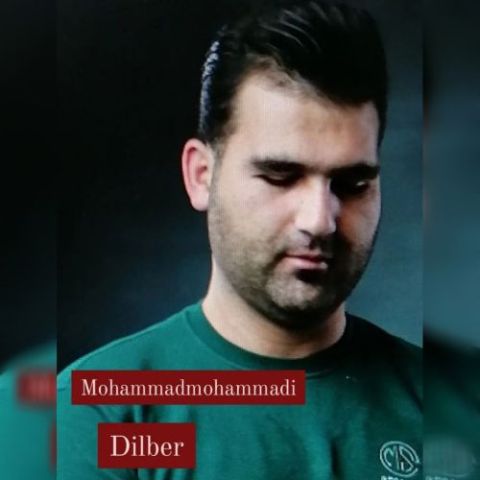 محمد محمدی دیلبر